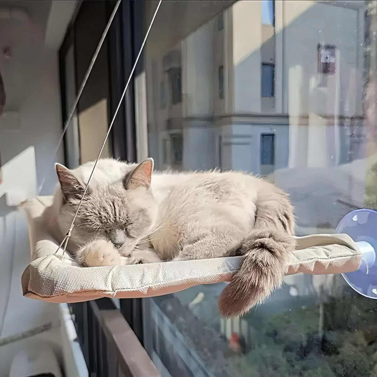 Comfortable Spaces for Happier Pets