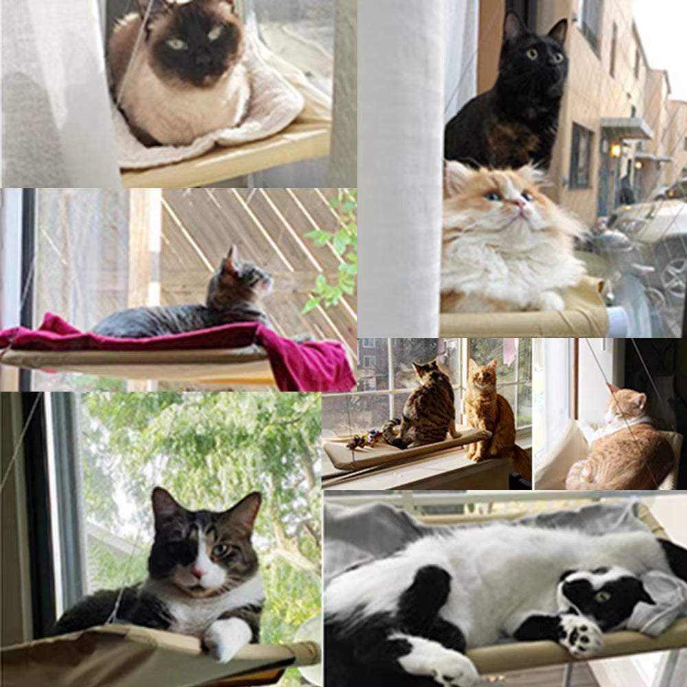 cat relaxing on window hammock with strong suction cups