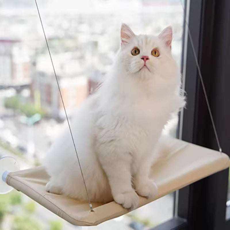 cat lounging on a cozy window hammock with strong suction cups